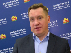 «Глядишь, и эвтаназию депутатов потребуют», - представитель Воронежской гордумы Артем Рымарь