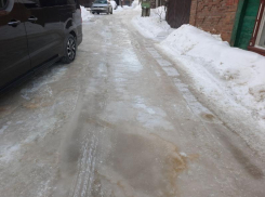 Фекальный каток подарил воронежцам февраль 