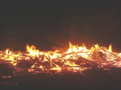 В Воронежской области сгорела мельница