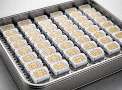 Несовершеннолетний мошенник и его подельник постарше пойдут под суд в Воронеже