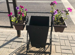 Почему воронежцы завидуют тамбовчанам