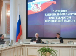 Воронежцы попросили распустить Национальную палату при губернаторе