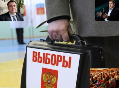 Контролировать выборы губернатора в Воронежской области будет правозащитник с неоднозначной репутацией