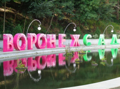 VII Воронежский международный фестиваль садов и цветов «Город-сад» распахнул свои двери