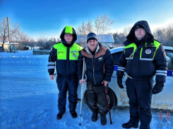 Сотрудники Госавтоинспекции спасли от мороза водителя на костылях в Воронежской области