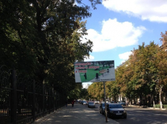 В Воронеже чиновники призывают горожан к чистоте с рекламного щита - страшилища