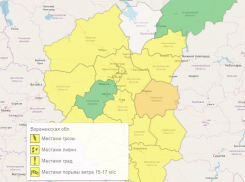 Жёлтый уровень опасности предвещает новый шторм в Воронеже