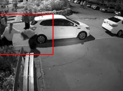 Возили лицом по асфальту: массовое избиение школьниц случилось в Воронеже