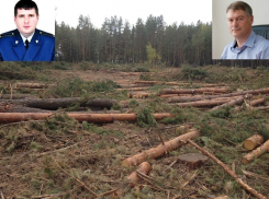 Жители Подгорного в Воронеже попросили прокурора Рамонского района повлиять на Виктора Логвинова 