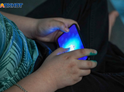 Какие сайты входят в «белый список» в России