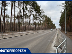 Как выглядит новая дорога через лес, призванная разгрузить Воронеж 