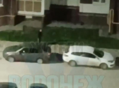 «Притворяется, что слепой», – странные действия мужчины смутили жителей Воронежа