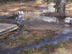 Любимый парк бывшего мэра Воронежа  потёк возле туалетов