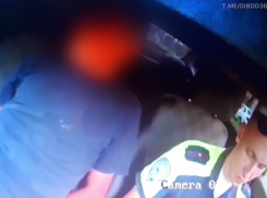 Бастрыкин заинтересовался воронежским дедушкой, который вез внучек в багажнике 