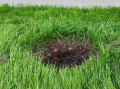 «Сколько можно красть?»: неизвестные лишили горожан красоты в Воронеже