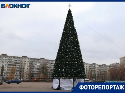 Как выглядит первая Новогодняя ёлка в Воронеже
