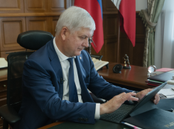 Антивирусные мероприятия предприняты в отношении всех воронежских чиновников