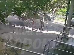 Директора УК будут судить после смерти девушки от падения дерева в центре Воронежа