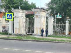 В варварском наступлении на сквер Тельмана обвинили власти жители Воронежа