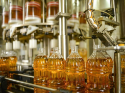 В Воронеже для экс-совладельца Эртильского маслозавода запросили «условку»