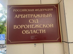 За неуважение к суду оштрафовали мэрию Воронежа