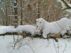 Сказочные скульптуры животных появились в воронежском лесу