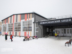 Тревогу в новоусманском лицее объяснили воронежские чиновники