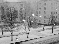 В выходные в Воронеже 6 и 7 декабря пойдет снег