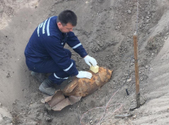 Опубликовано фото 100-килограммовой бомбы, найденной в Воронеже