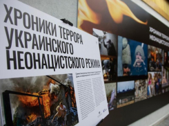 В Воронежской облдуме организовали шокирующую своей правдивостью фотовыставку