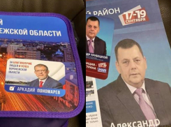Избирком начал официальную проверку скандальных «подарков» первоклашкам от воронежских единороссов