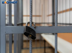 Украинцы под видом сотрудников ФСБ похитили блогера в Воронежской области