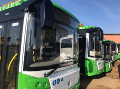 Партию современных автобусов за полмиллиарда рублей доставят в Воронеж