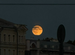 Целых 7 событий в ночном небе смогут наблюдать воронежцы