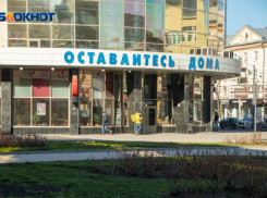 Режим всеобщей самоизоляции 6 лет назад вводился в Воронежской области