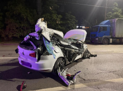 Уголовное дело о ДТП, в котором погибла выпускница воронежского журфака, могут передать в СК