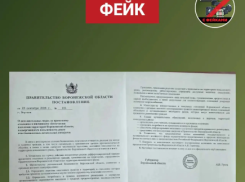 В Воронежской области опровергли фейк об отселении жителей из-за атак БПЛА