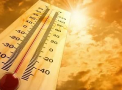 МЧС предупредило о сильнейшей жаре во второй половине дня в Воронеже
