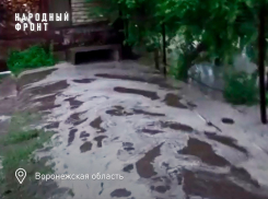 История с потопами из-за бесхозной ливневки в Воронежской области дошла до суда