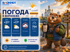 С +21 до +10 за 72 часа: погодные перепады ожидаются в Воронеже