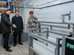 Губернатор Воронежской области решил накормить до отвала свининой весь регион 