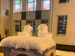 Самых милых снеговичков застали на улочке в Воронеже