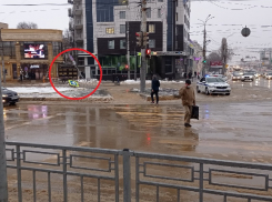 Машины устроили разгром светофору и знаку в центре Воронежа