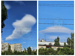 Кашалот и НЛО: необычные облака воронежцы заметили в небе над городом
