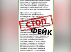 Открытие «горячей линии из-за нового штамма коронавируса» назвали фейком в Воронеже