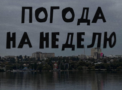 Погода в Воронеже: неделя для тех, кто любит страдать красиво