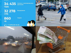 Коронавирус в Воронеже 30 ноября: 860 смертей, данные по безработице и выплата детских пособий
