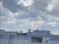 Рискованное развлечение на крыше высотки попало на видео в Воронеже