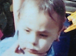 Тело пропавшего 7-летнего мальчика обнаружено в пруду в Воронежской области