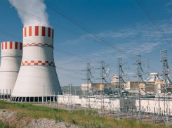 Воронежский город атомщиков как может выпрямляет выборы мэра